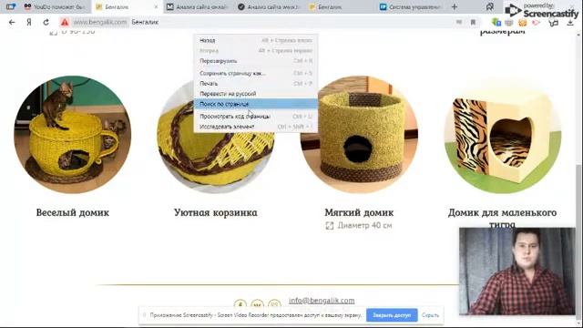 Сео-аудит сайта по продаже кошек смотреть онлайн