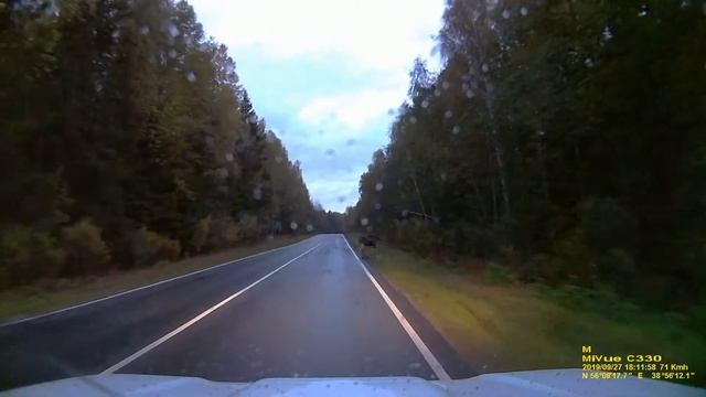 Лось Владимирская обл Покров - Киржач смотреть онлайн