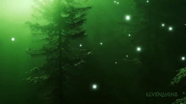 Enchanted Forest Music & Mystical Vocals ✦ Ethereal Fantasy Music ✦ 528 hz ✦ Path To The Elven Land