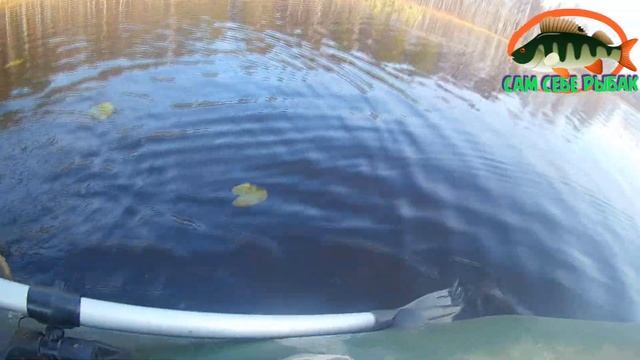 ЗАВЕРШЕНИЕ СЕЗОНА. РЫБАЛКА НА СПИННИНГ ЩУКА ЕСТЬ.ЯЗЬ НА ПОПЛАВОК. смотреть онлайн