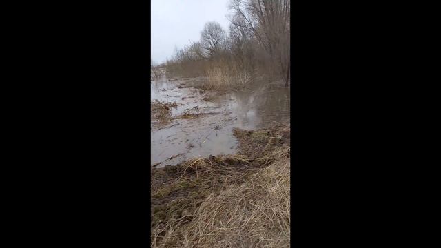 Ока на 17 апреля 2022 смотреть онлайн