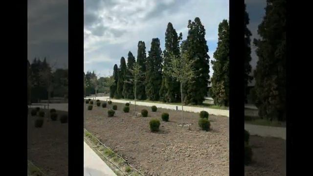 Виртуальная экскурсия в Ботанический сад смотреть онлайн