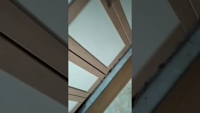 Где живут тараканы в квартире смотреть онлайн