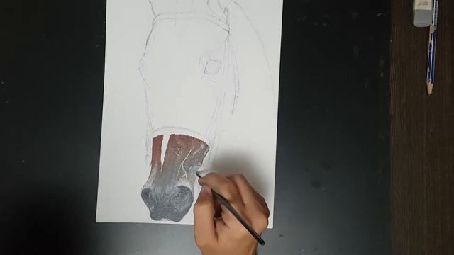 Как нарисовать Лошадь маслом . Часть 1 из 3. смотреть онлайн