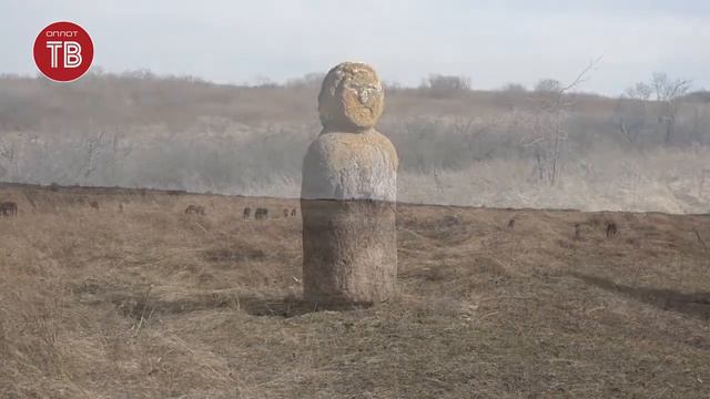 «Среда». Хомутовская степь – Меотида 18.03.2020 смотреть онлайн