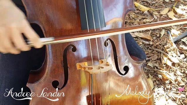 Prelude from Suite 6 (Bach) | Melody Bird & Andrea Landin смотреть онлайн