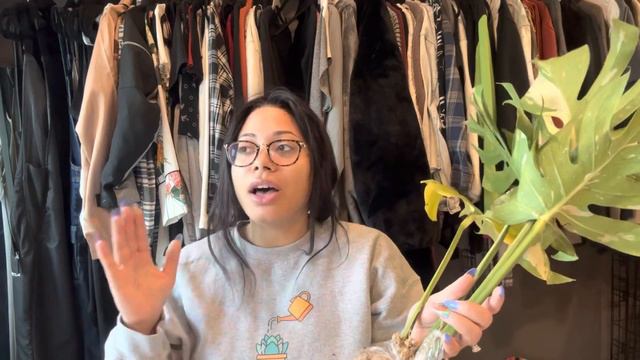 Ecuagenera Import Haul! | My Top Wishlist Plant Is Joining the Collection 🥹 смотреть онлайн