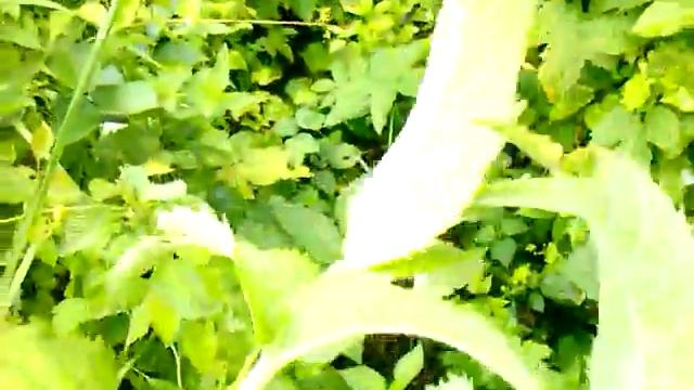 Фотография Пейзажей