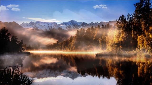 Reiki For Bacteria - Viral & Fungal Infection / 5 Min Session / Healing Hands Series смотреть онлайн