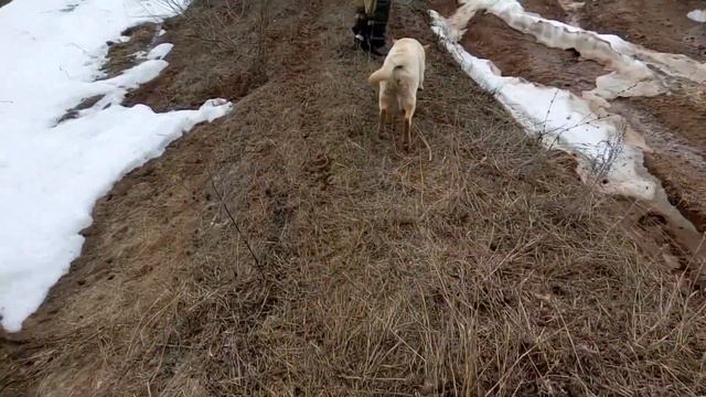 Нива и Поджеро , прокатились с другом . смотреть онлайн