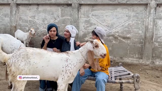 Bakra Badmashi | Short Story | Fatima Or Uski Chalakiyan смотреть онлайн