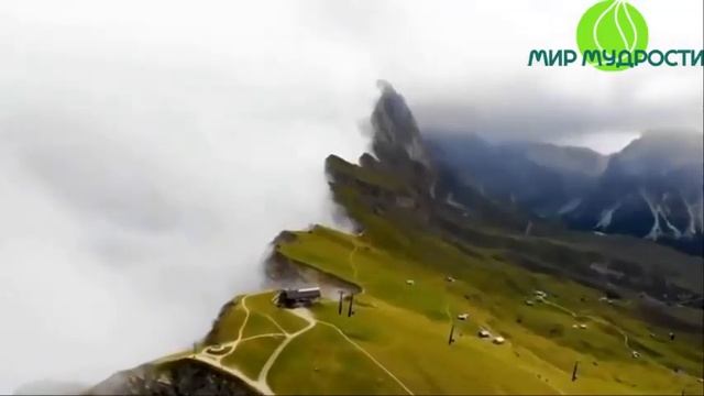 Вы были созданы для того, чтобы быть спонтанными! смотреть онлайн