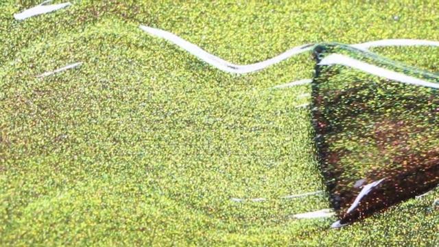 Komilfo 9D Cat's Eye смотреть онлайн