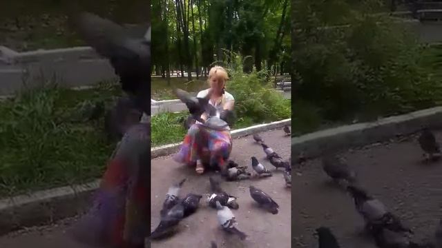 Россия Тульская обл. Щекино городской парк. Июль 2019 год .Незабываемое проведенное время вместе ! смотреть онлайн