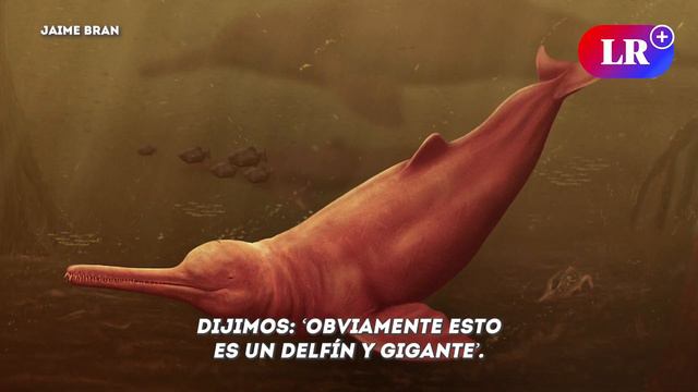 DESCUBREN restos del DELFIN de río MÁS GRANDE de la TIERRA | #LR смотреть онлайн