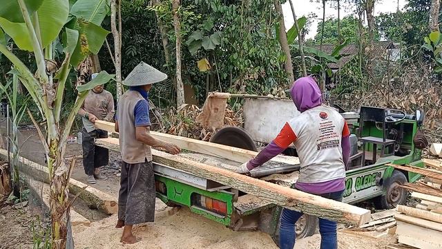 Circular Sawing , Waru Wood Minimalist Wooden House Material