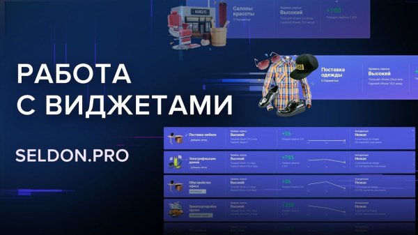 Seldon.Pro — как работать с виджетами?