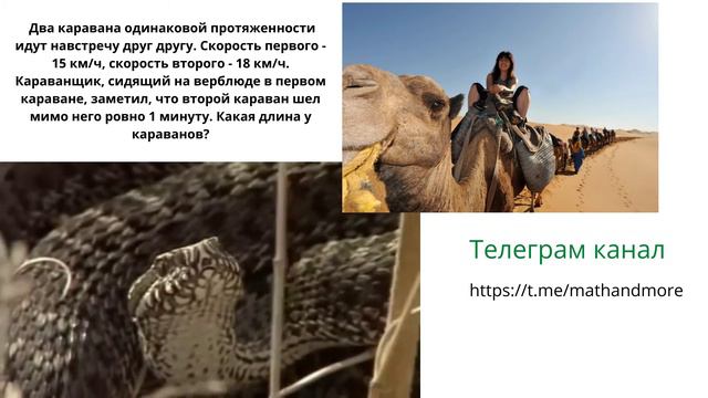 Найди длину каравана. Музыка. Караван. Задача. смотреть онлайн