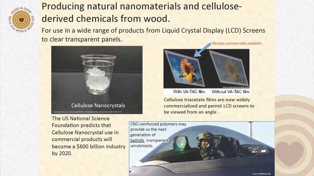 2013 World Wood Day Symposium - Barry Goodell смотреть онлайн