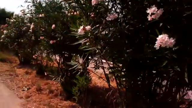 Турция отель клаб ева)) смотреть онлайн