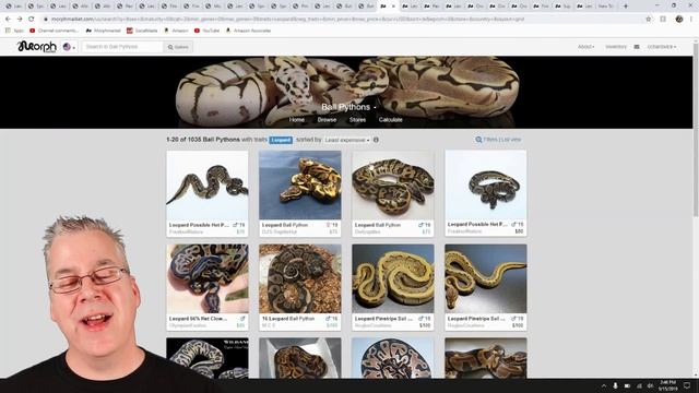 The Incredible 'Leopard' Ball Python! смотреть онлайн