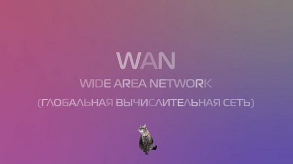 Что такое LAN и чем отличается от WAN?