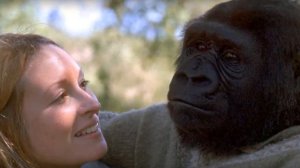 ГОРИЛЛУ Скрестили с Женщиной: ТАКОГО Финала Никто не Ожидал!