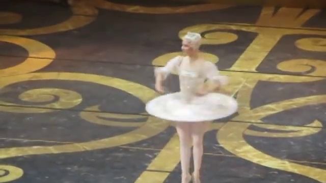 М. Александрова / Н. Цискаридзе - Спящая красавица смотреть онлайн