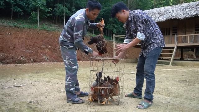 Build a clean water tank, Selling chickens to traders, farm repair, 1 year living in the forest-P15 смотреть онлайн