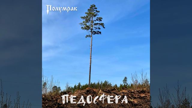 Мальчик поёт! смотреть онлайн