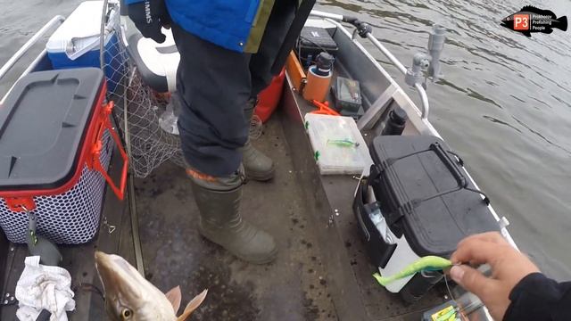 РЫБАЛКА НА ВАЗУЗСКОМ ВОДОХРАНИЛИЩЕ. ДЖИГ, СУДАК, ЩУКА. смотреть онлайн