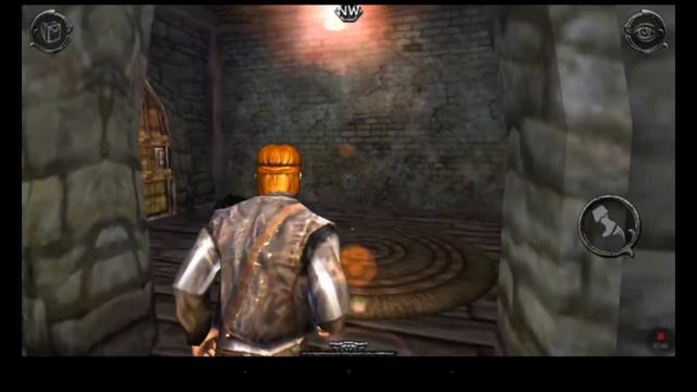 Игра Ravensword Изучение новой территории смотреть онлайн