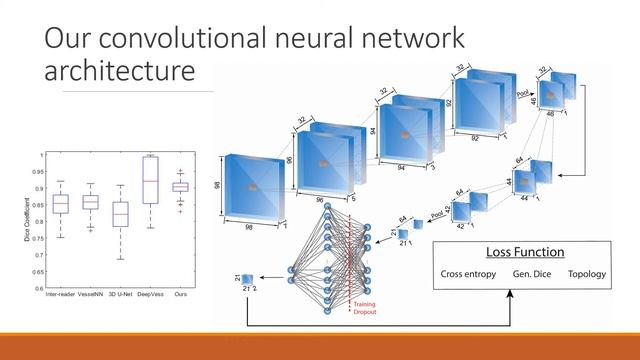 A Topological Encoding Convolutional Neural Network for Segmentation of 3D Multiphoton Images of... смотреть онлайн