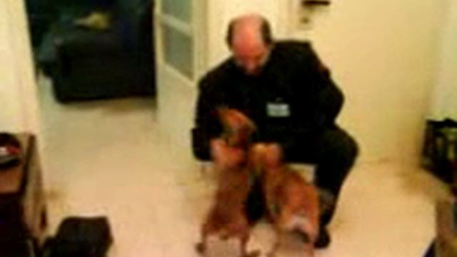 Хозяин пришел! смотреть онлайн