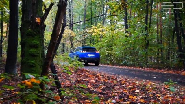 Peugeot 2008 1.2 PureTech 130 KM - TEST PL - 2021 смотреть онлайн