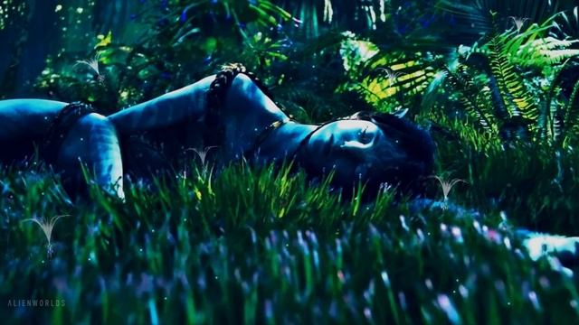 Avatar: The Way Of Water | Forest | Ambient Soundscape