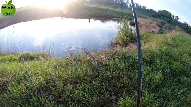 Ловля ГОЛАВЛЯ на спиннинг , на майского жука на перетягу смотреть онлайн