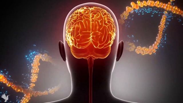 Boost Brain, Improve Memory | Breaking Unconscious Deadlocks And Negativity, Repairing DNA 528hz смотреть онлайн