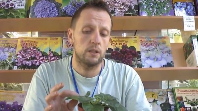 ДФ. И.Рачков: Подготовка сенполий к цветению смотреть онлайн