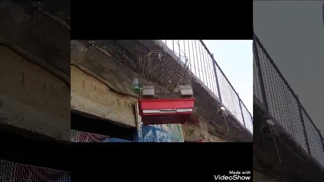 Птичий рынок в Таджикистан город Истаравшана Bird Market Of Tajikistan Istaravshan