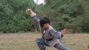 Кунг-фу  ---  костоломы друзья снова в бою,против заклятых врагов.