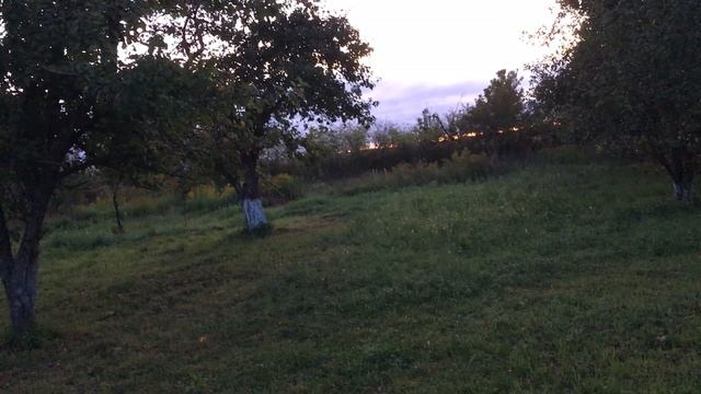 ЛЮБУЮ БОЛЕЗНЬ МОЖНО ПОБЕДИТЬ. ЦЕЛИТЕЛЬ СВЕТЛАНА ЮРЬЕВНА смотреть онлайн