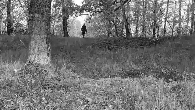 Utdødd — Useless (Sadness cover) смотреть онлайн