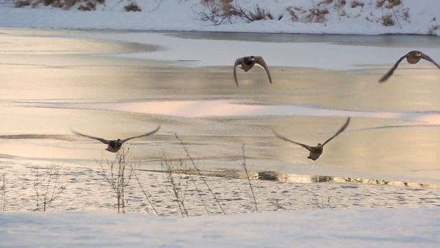 NX80 & Color Grading Test смотреть онлайн