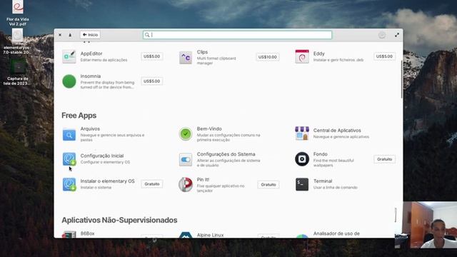 Elementary OS 7 (Linux) - visão geral do sistema смотреть онлайн