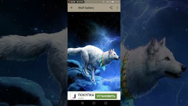 Как вам Аниме волки? смотреть онлайн