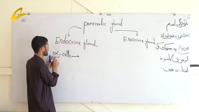 زده کړې په کور کې | بیولوژي | 26 برخه |لسم ټولګی || استاد زاهدالله ذهــیـــن смотреть онлайн