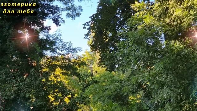 Сегодня 5 сентября прибыльный день, возьмите в руки соль. Послание от Архангела Михаила. Лунный ден смотреть онлайн