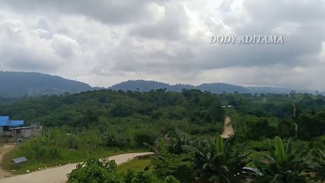 Aktifitas hauling | Truk Logging Kalimantan Renault Kerax 440 смотреть онлайн