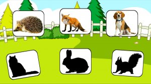 ИГРЫ для детей "Кто где живет?" Развитие РЕЧИ Учим животных Развивающие мультики для детей